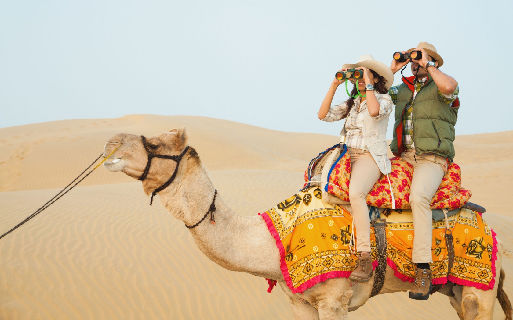 Experience The Best Of The UAE With Arba Tourism