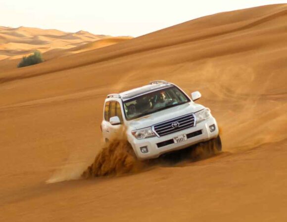 The Ultimate Guide to Desert Safaris in Abu Dhabi: Uncover the Thrills and Wonders